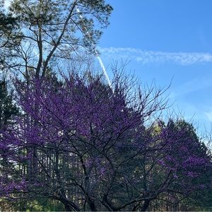 HERE WE GO… HELPING THE GRADUATE 👩🏻‍🎓 CLOSET HBCU GEAR💙💙💙💙💙 #spelman2023